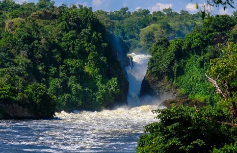 6 Days Bwindi and Queen Elizabeth Wildlife Safari to Uganda